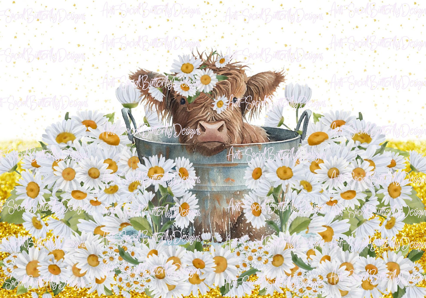 Highland Cow in a Bucket Collection